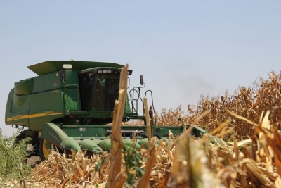 El 72% de los productores de hasta 10 hect&aacute;reas ya se encuentra registrado en el programa de Segalmex