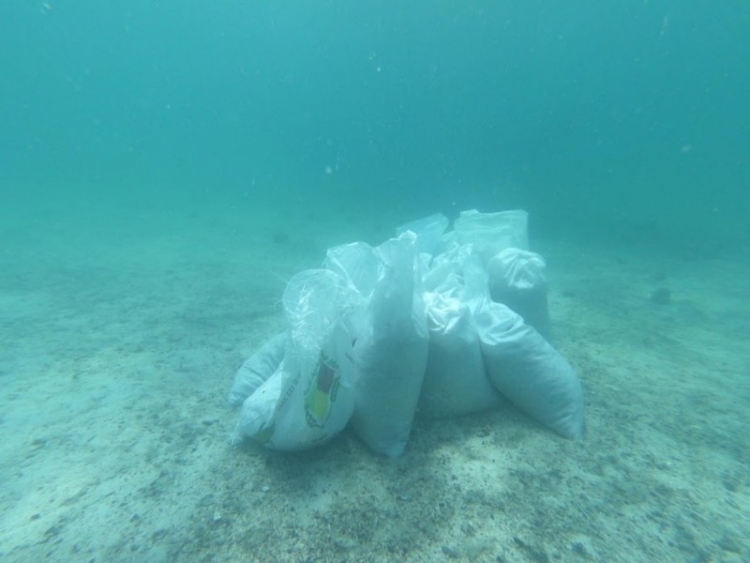 Tragedia ambiental en Balandra, sacan m&aacute;s de 8 toneladas de fibra de vidrio carbonizada del fondo marino