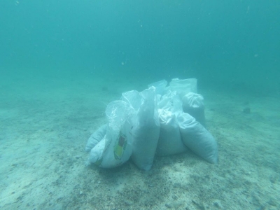 Tragedia ambiental en Balandra, sacan m&aacute;s de 8 toneladas de fibra de vidrio carbonizada del fondo marino