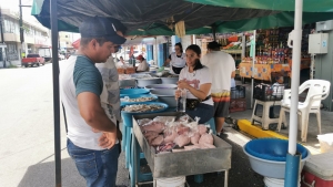 Que el inicio del ciclo escolar golpe&oacute; las ventas pescados y mariscos, dicen changueras