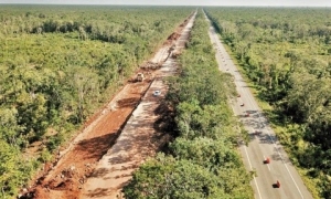 Yucat&aacute;n, el estado m&aacute;s beneficiado por el plan integral del Tren Maya