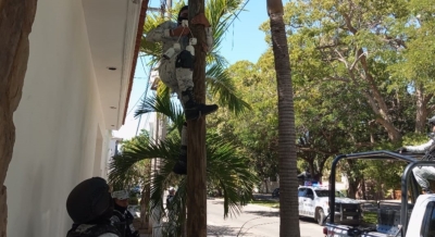Grupo Interinstitucional realiza en Culiac&aacute;n Operativos para el retiro de c&aacute;maras de videovigilancia irregulares o instaladas en estructuras p&uacute;blicas