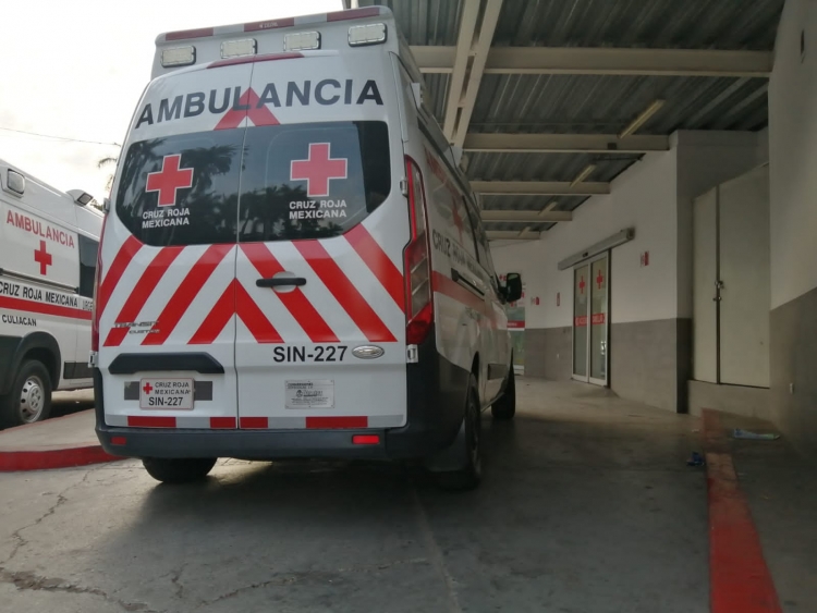 Por picaduras de abejas, muere un adulto mayor en el Hospital General de Guam&uacute;chil