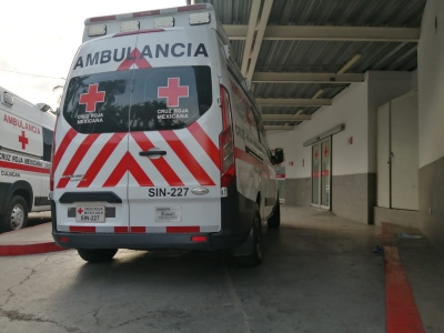 Por picaduras de abejas, muere un adulto mayor en el Hospital General de Guam&uacute;chil