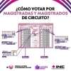 Ir a votar es avalar esa maquiav&eacute;lica elecci&oacute;n del Poder Judicial: activista Marilu Gonz&aacute;lez