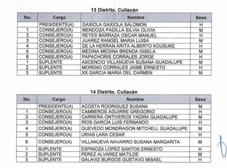 Empresarios y profesionistas predominan en nombramientos de consejeros electorales