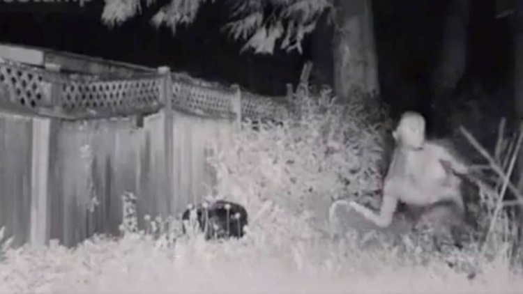 Difunden im&aacute;genes del extraterrestre que aterriz&oacute; en d&iacute;as pasados en un patio de Las Vegas, &iquest;qu&eacute; se sabe hasta el momento?
