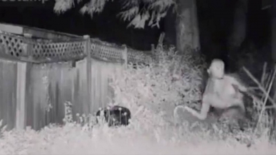 Difunden im&aacute;genes del extraterrestre que aterriz&oacute; en d&iacute;as pasados en un patio de Las Vegas, &iquest;qu&eacute; se sabe hasta el momento?