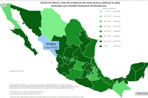 Se acumularon 20,685 nuevos casos de contagio del virus covid-19 en M&eacute;xico