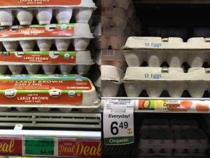 LLega a 5 d&oacute;lares la docena de huevos en los Estados Unidos