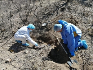 Registran 174 fosas clandestinas en primer semestre del 2021