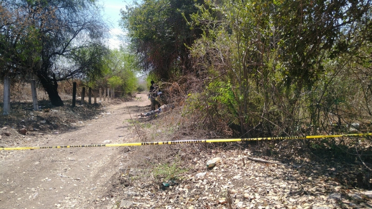 Hallan ejecutado a un hombre en una brecha del Ejido El Ranchito, en Culiac&aacute;n