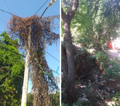 Con pretextos, le responde CFE a familia de la Obrero Campesina