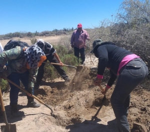 Son ya 11 cuerpos localizados por colectivos de b&uacute;squeda en una semana en Ahome