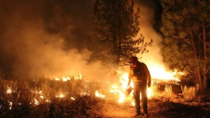 Los incendios forestales combinan los efectos de la sequ&iacute;a y los errores humanos al provocarlos en un 90% de los casos