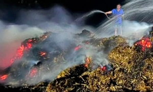 Evac&uacute;an a 15 familias por fuerte incendio en El Fuerte