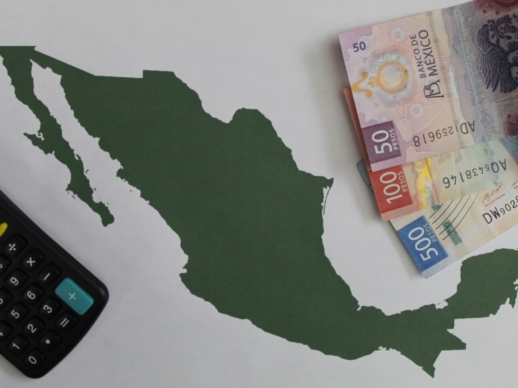 Disminuyen casi 20% los ingresos por IVA en febrero