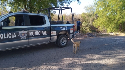 Hallan cad&aacute;ver en estado de descomposici&oacute;n al oriente de Culiac&aacute;n