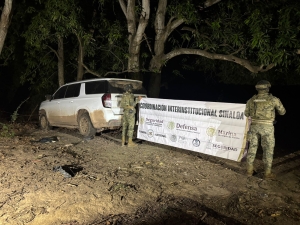 Fuerzas federales aseguran veh&iacute;culos blindados, municiones y destruyen un plant&iacute;o de marihuana