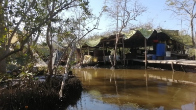 Aseguran narcolaboratorio en un manglar, en Navolato