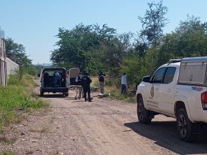 Descubren el cad&aacute;ver de un hombre asesinado y torturado, en el Campo El Diez, en Culiac&aacute;n