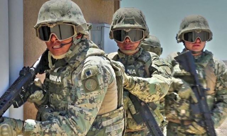 Cae en Mazatl&aacute;n operador del C&aacute;rtel Jalisco NG