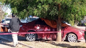 Mujer muere en choque de veh&iacute;culo contra un &aacute;rbol, en Culiac&aacute;n