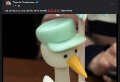 Claudia Sheinbaum anuncia que ser&aacute; abuela con la tierna foto de una cig&uuml;e&ntilde;a