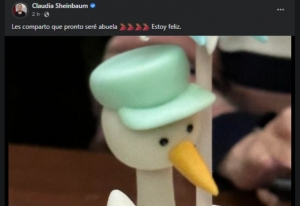 Claudia Sheinbaum anuncia que ser&aacute; abuela con la tierna foto de una cig&uuml;e&ntilde;a