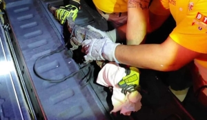 Rescatan a peque&ntilde;o cocodrilo localizado en una zona de bodegas de Mazatl&aacute;n