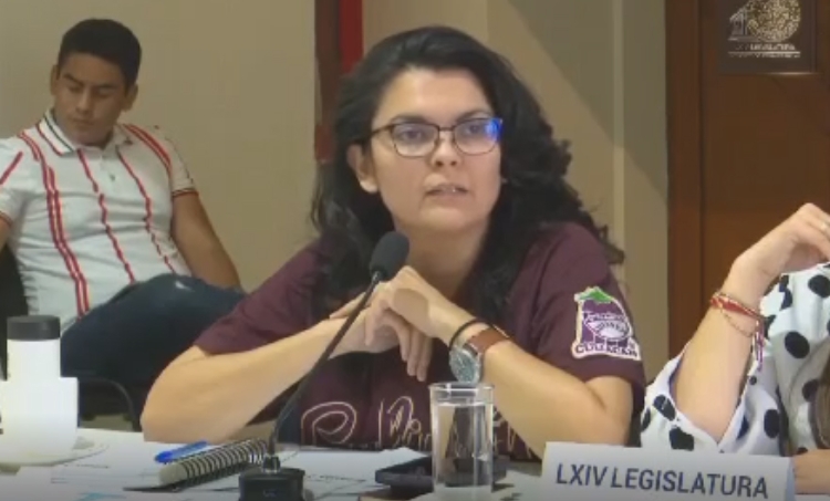 La diputada Almendra Negrete criminaliz&oacute; a padres de familia, religiosos y psic&oacute;logos: V&iacute;a Familia