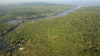 La selva amaz&oacute;nica emiti&oacute; m&aacute;s di&oacute;xido de carbono del que absorbi&oacute; durante la &uacute;ltima d&eacute;cada