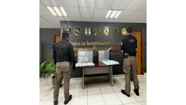 La Polic&iacute;a Federal Ministerial localiz&oacute; 174 mil pastillas que contienen fentanilo en inmueble de empresa de paqueter&iacute;a en Humaya
