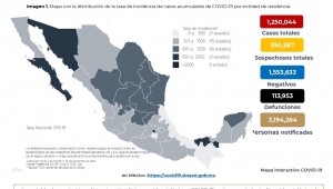 Al 13 de diciembre de 2020 hay 1,250,044 casos confirmados por COVID-19