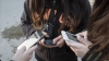 Entra en vigor hoy padr&oacute;n de telefon&iacute;a, advierten multas hasta por $1 mill&oacute;n
