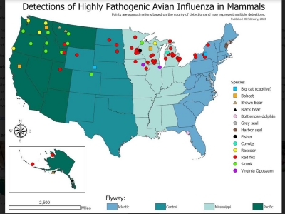 M&eacute;xico no tiene focos activos de Influenza AH5N1 en aves o mam&iacute;feros