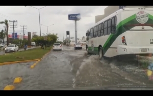 Deja Genoveva solo inundaciones y encharcamientos en el puerto