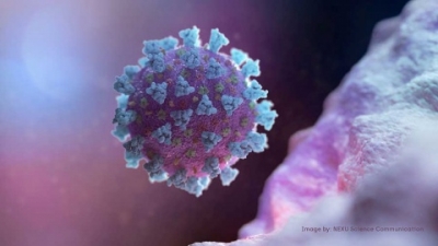 EU afirma que Rusia esta realizando publicaciones en redes en las que culpa a la CIA sobre el coronavirus