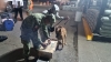SEDENA halla 2 mil 70 kilogramos de goma de opio en cami&oacute;n de pasajeros en la localidad del Desenga&ntilde;o
