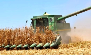 Ma&ntilde;ana inicia el registro ante SEGALMEX para productores de ma&iacute;z: SAyG