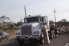Caen postes met&aacute;licos de tr&aacute;iler y obstruye el tr&aacute;nsito vehicular en el Tr&eacute;bol de El Diez, Culiac&aacute;n
