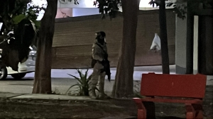 Disparan contra casa y tumban port&oacute;n en la colonia Las Quintas