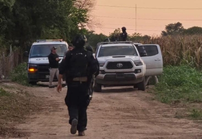 Localizan a un hombre asesinado en una tierras de cultivo en San Pedro, Navolato
