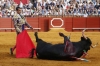 Chocaron intereses de Quirino y Rocha en temas de la tauromaquia y campos de golf