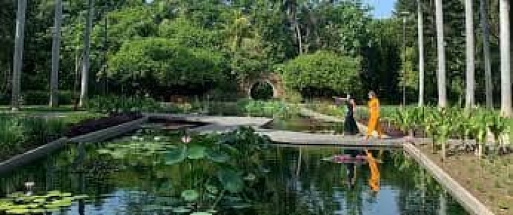 Promueven amparo contra el gobernador por renovar concesi&oacute;n del Jard&iacute;n Bot&aacute;nico