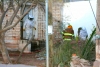 Cuatro heridos tras ataque de abejas en la 10 de Mayo en Guam&uacute;chil