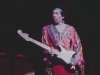 Museo de Islandia compra molde del pene de Jimi Hendrix