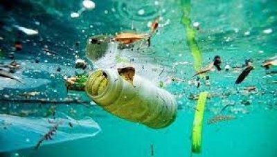 Contaminaci&oacute;n pl&aacute;stica y qu&iacute;mica super&oacute; l&iacute;mites planetarios, alertan