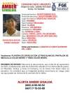 FGE solicita ayuda para encontrar al menor de edad Raymundo Miguel, desaparecido en Mazatl&aacute;n