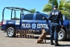 Llamada en falso alerto a los cuerpos de seguridad por camionazo